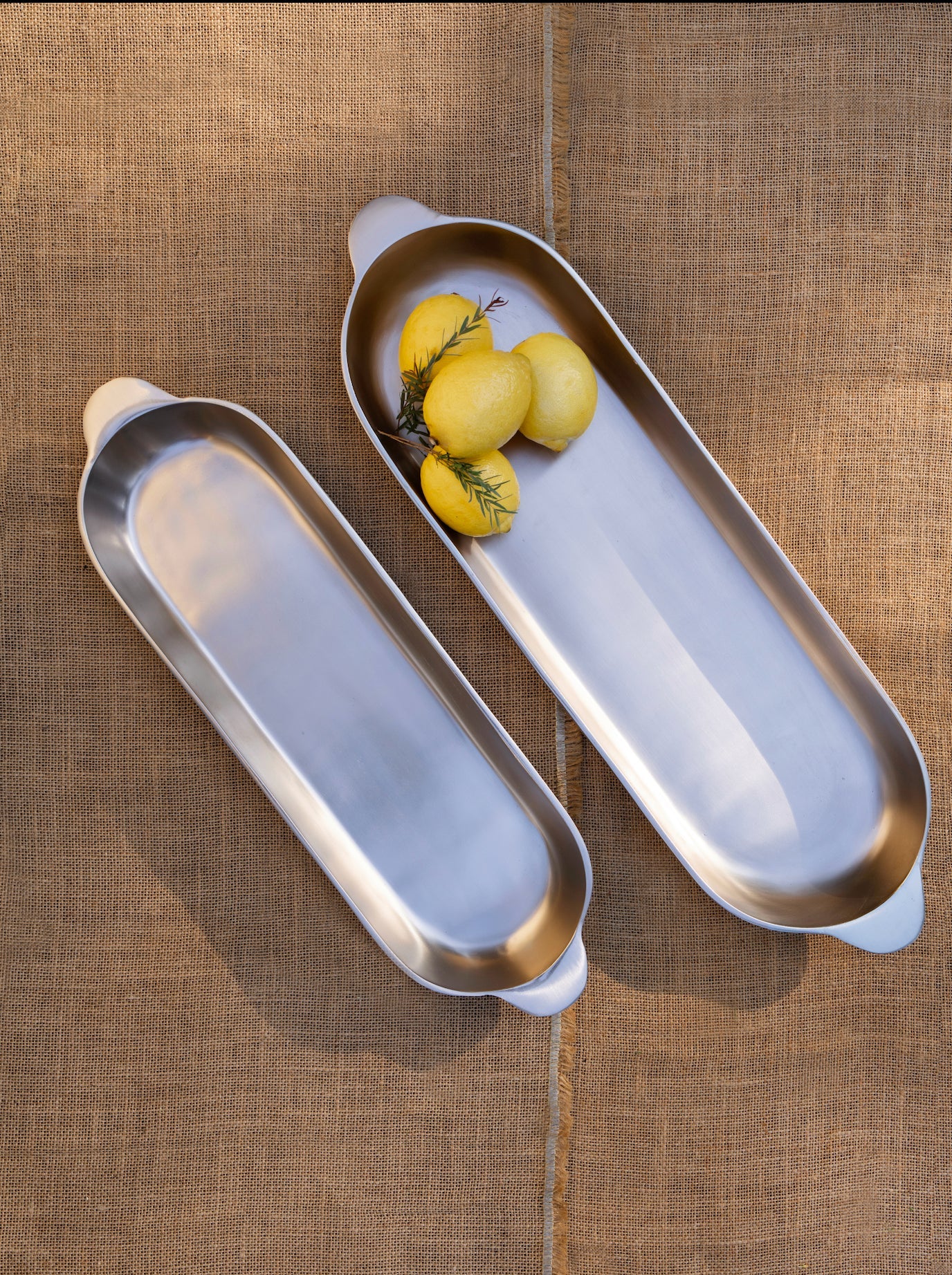 Stinson Nickel Long Trays - Set of 2